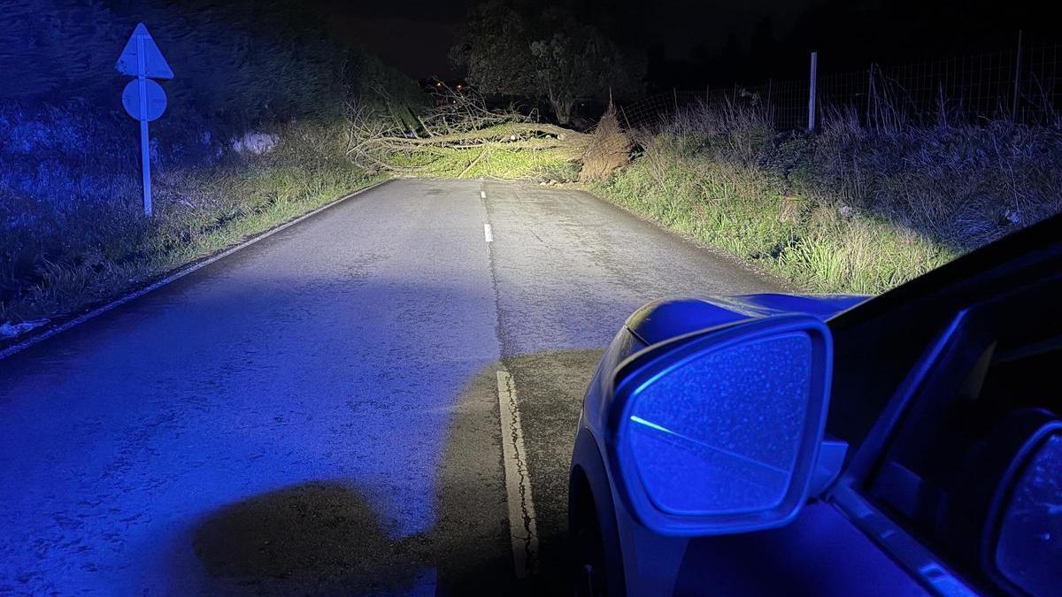 Изображение для новости о Астурия