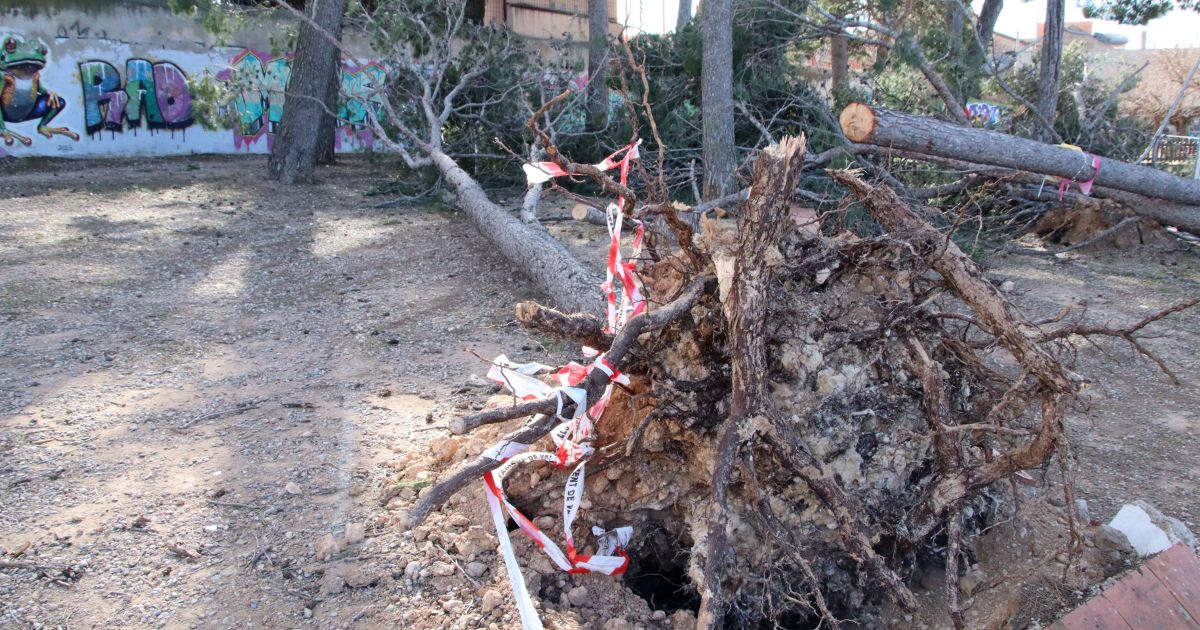 Изображение для новости о Таррагона