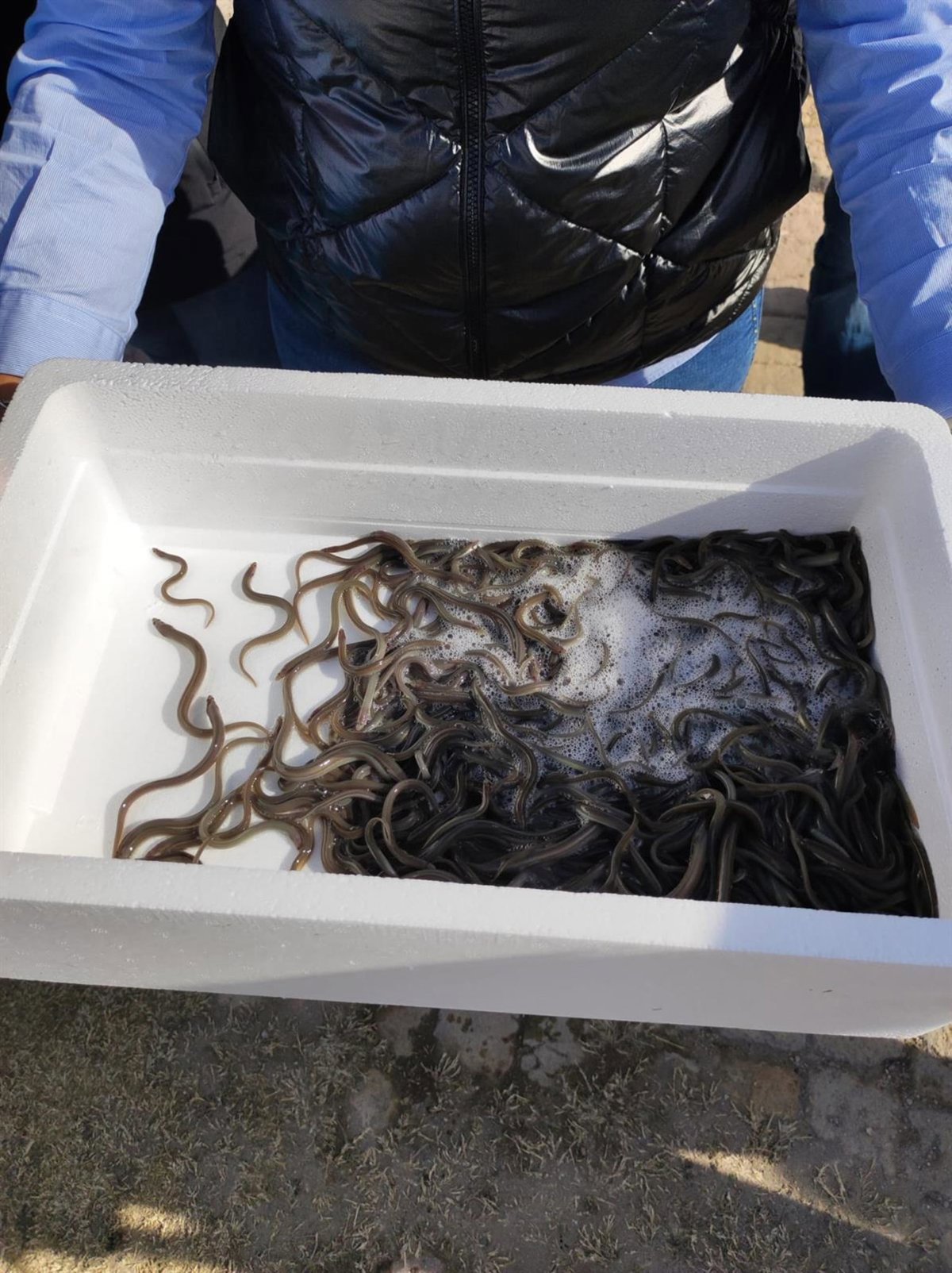 Изображение для новости о Астурия