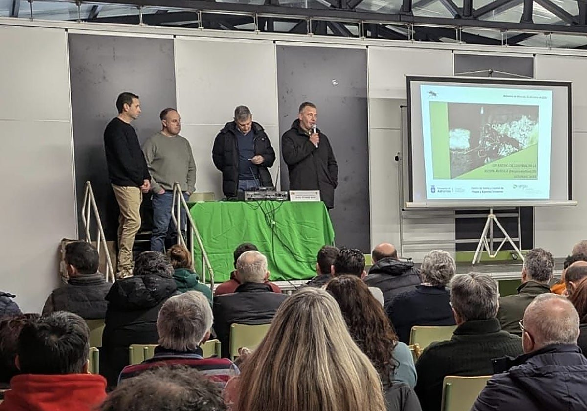 Изображение для новости о Астурия