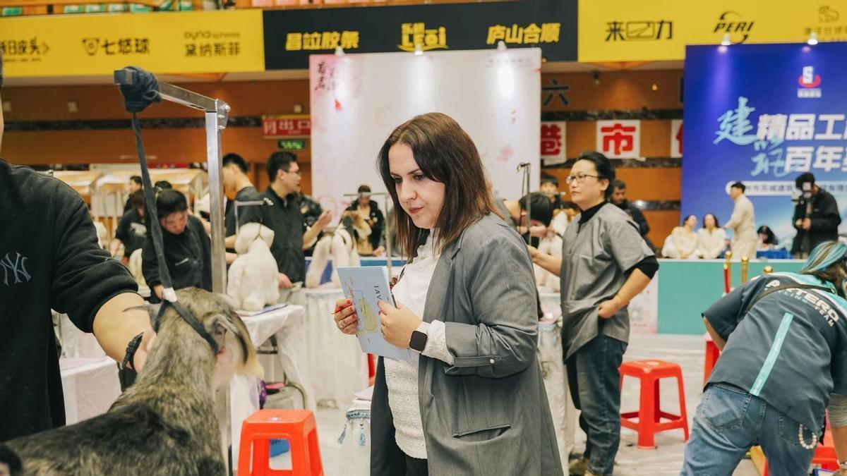 Изображение для новости о Астурия