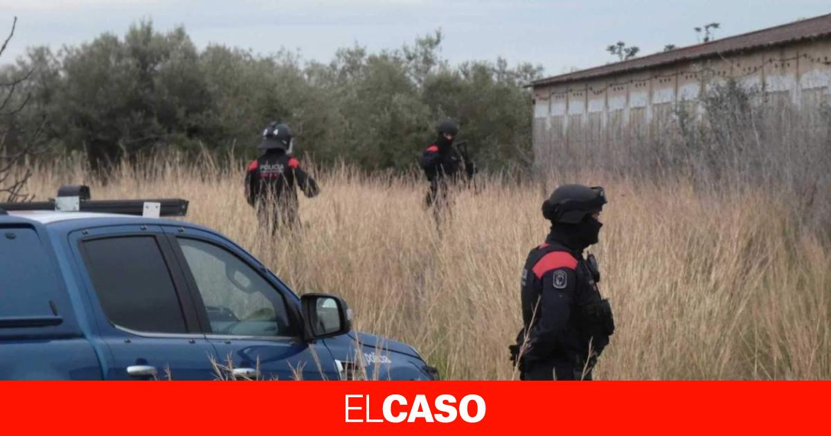 Изображение для новости о Барселона