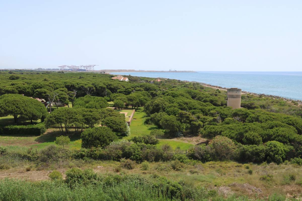 Изображение для новости о Барселона