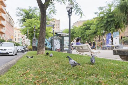 Изображение для новости о Таррагона