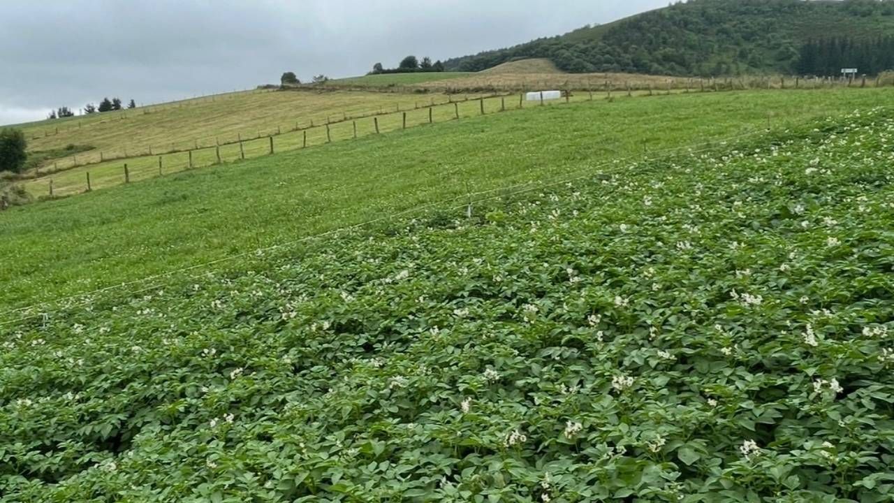 Изображение для новости о Астурия