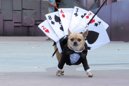 Изображение для новости о Таррагона