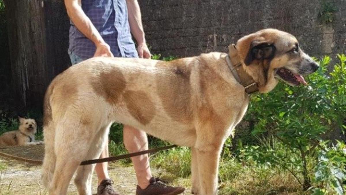 Изображение для новости о Астурия