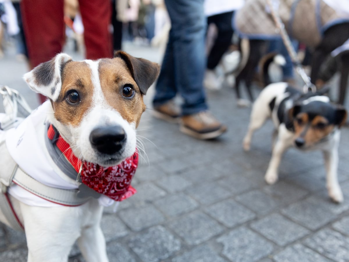 Изображение для новости о Барселона