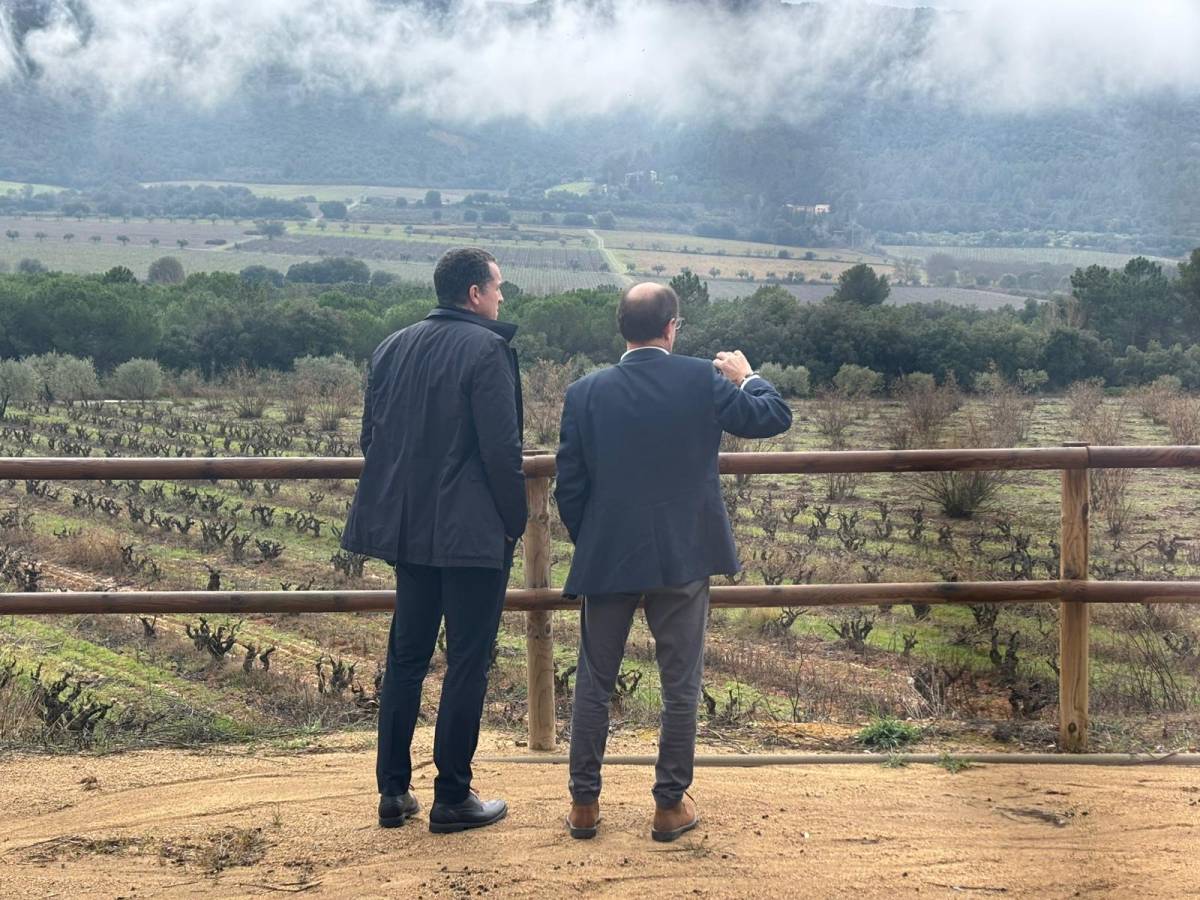 Изображение для новости о Таррагона