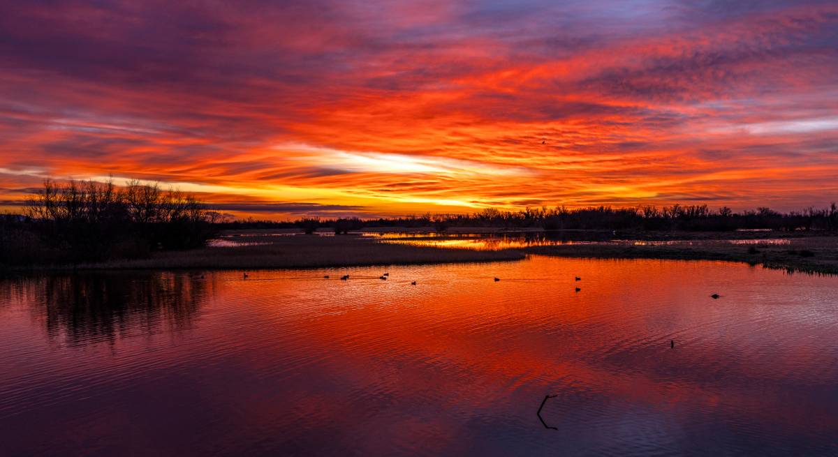 Изображение для новости о Барселона