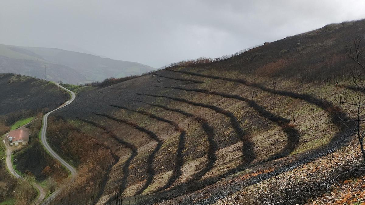 Изображение для новости о Астурия