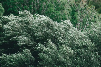 Изображение для новости о Барселона