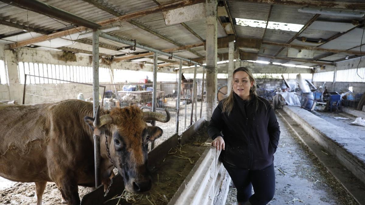 Изображение для новости о Астурия