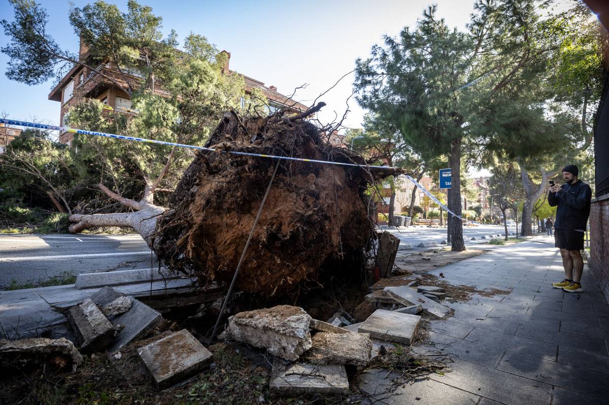 Изображение для новости о Барселона