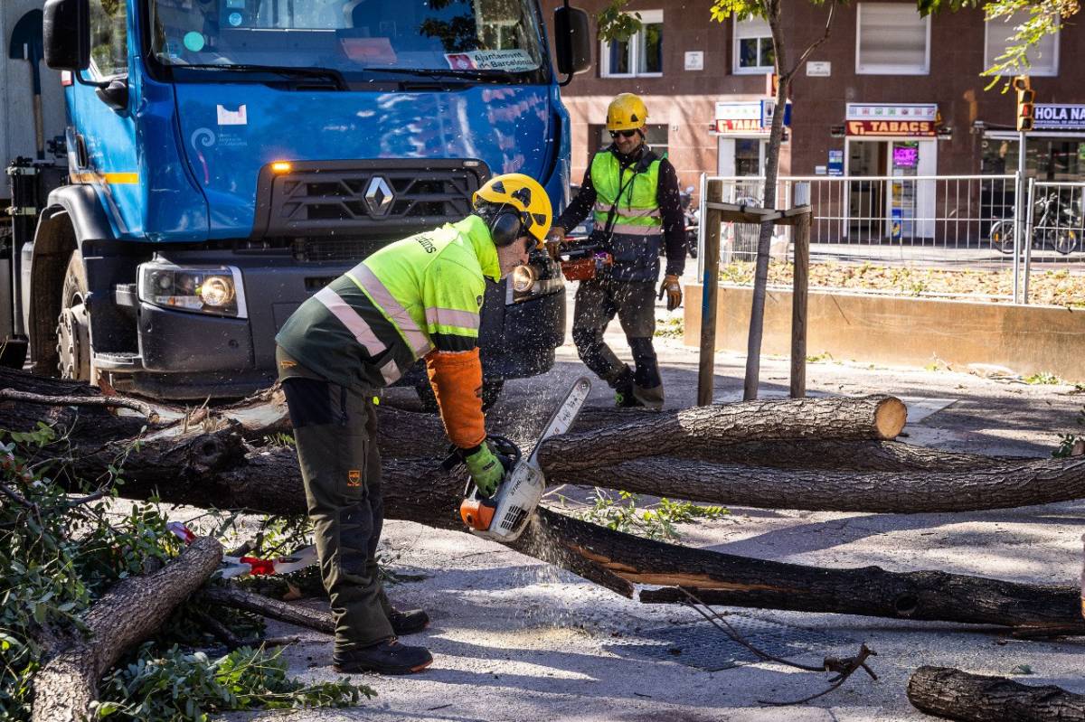 Изображение для новости о Таррагона