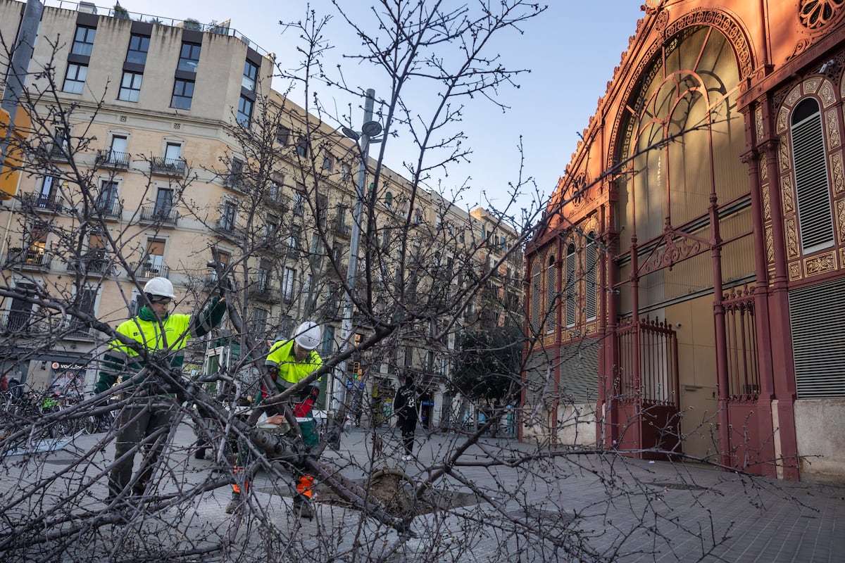 Изображение для новости о Барселона