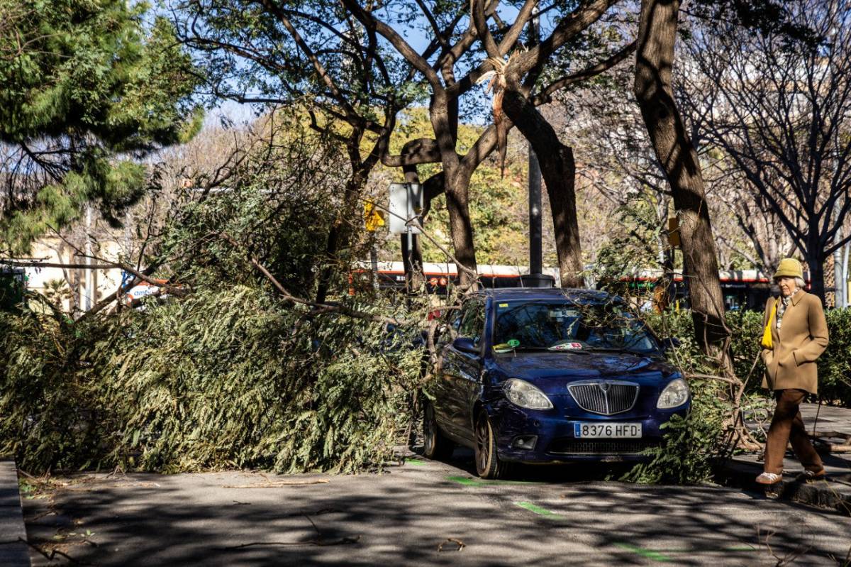 Изображение для новости о Таррагона