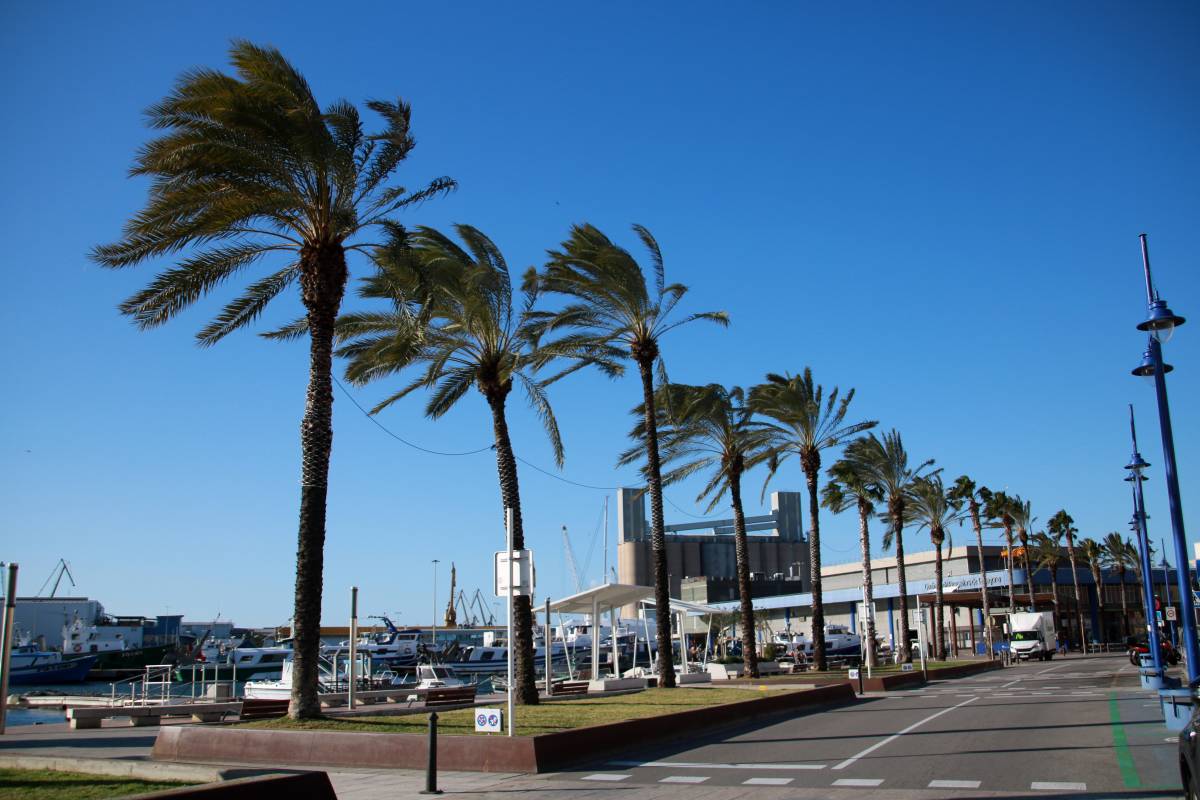 Изображение для новости о Барселона