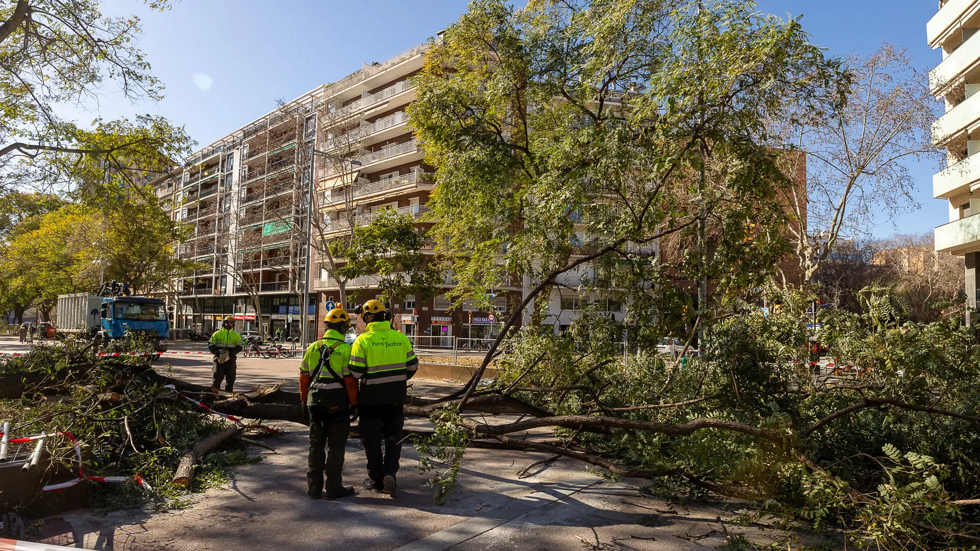 Изображение для новости о Барселона