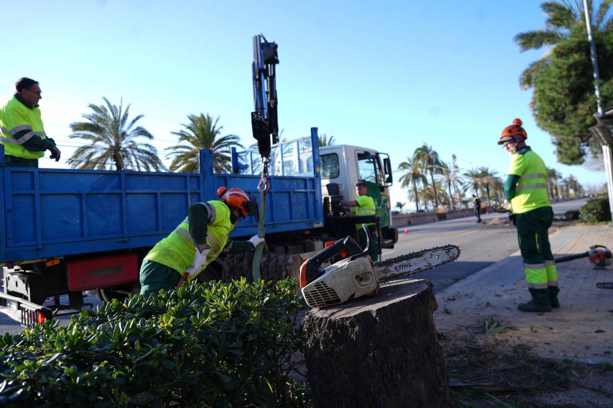 Изображение для новости о Барселона