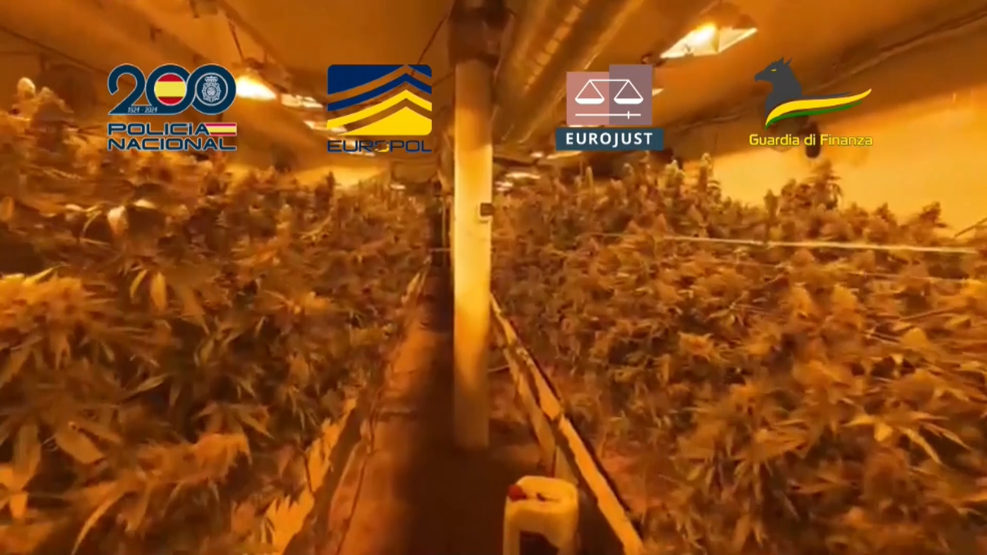 Изображение для новости