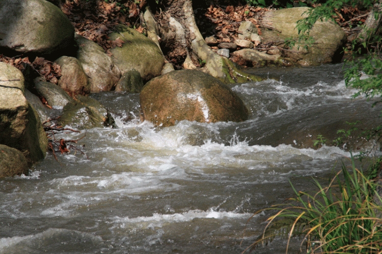 Изображение для новости