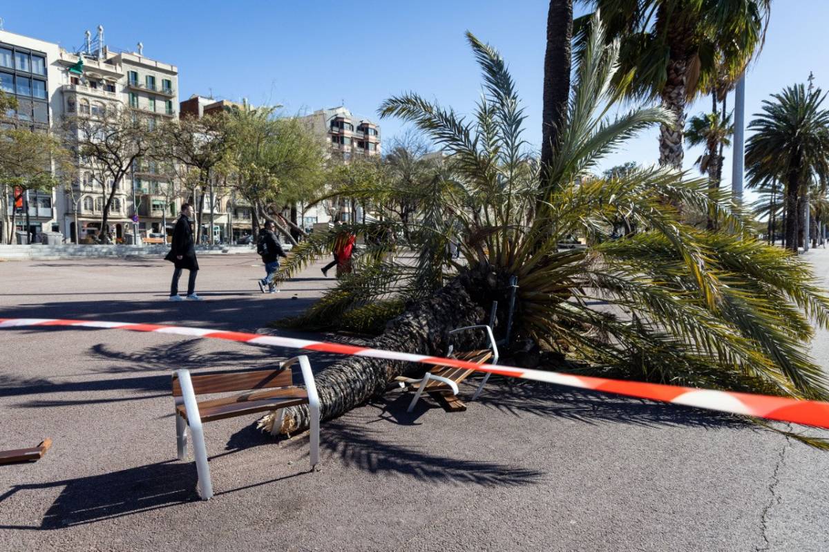 Изображение для новости