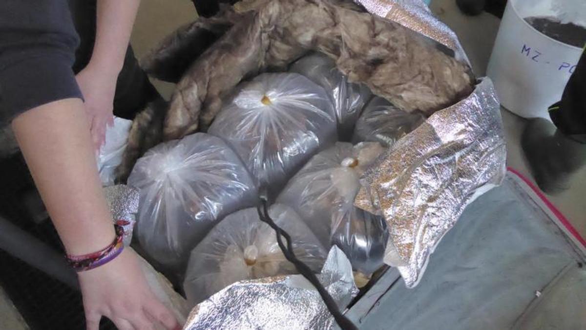 Изображение для новости