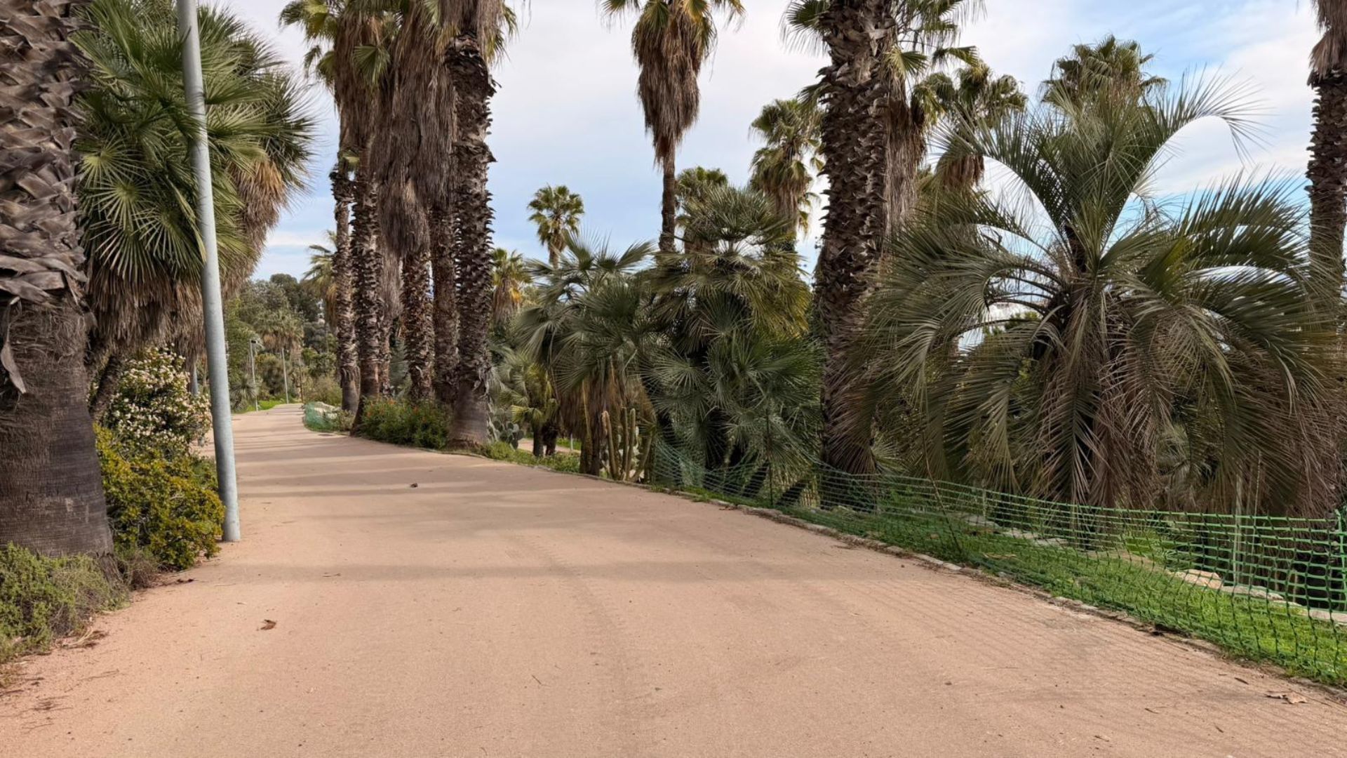 Изображение для новости