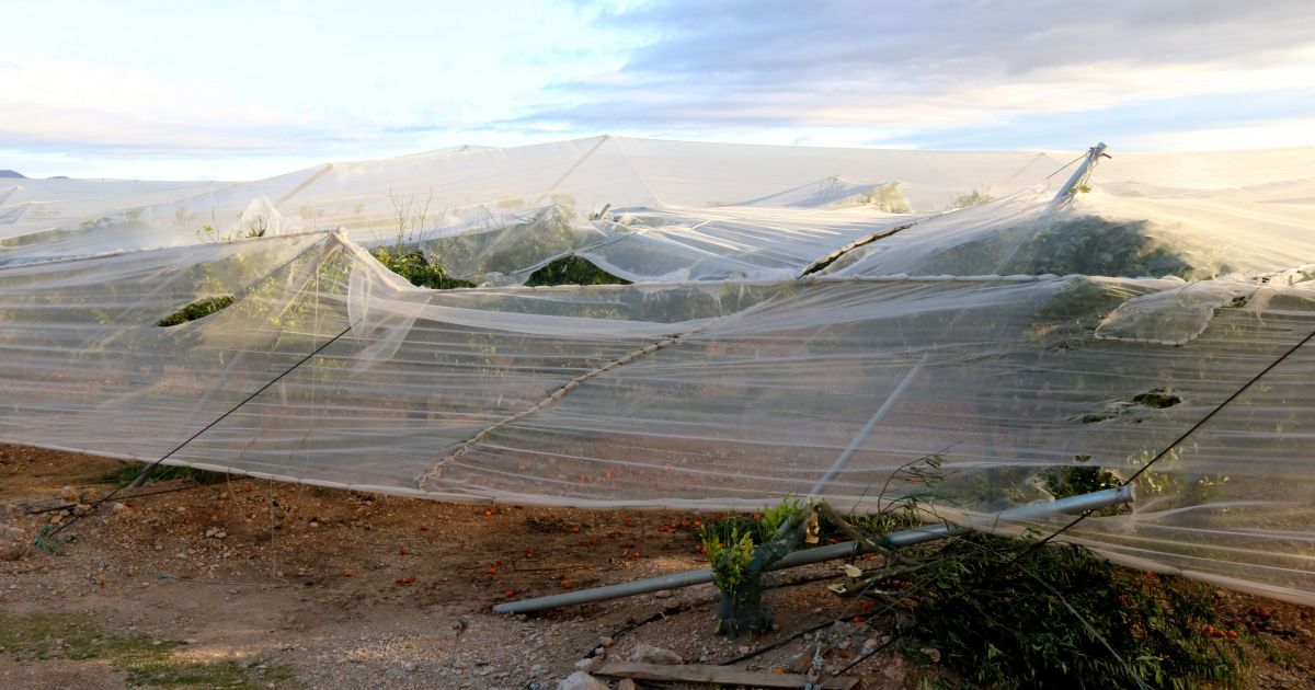 Изображение для новости