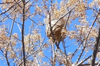 Изображение для новости