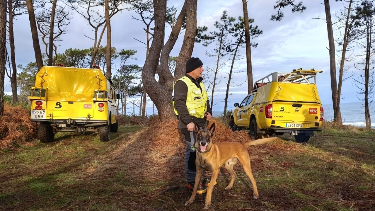 Изображение для новости о Астурия