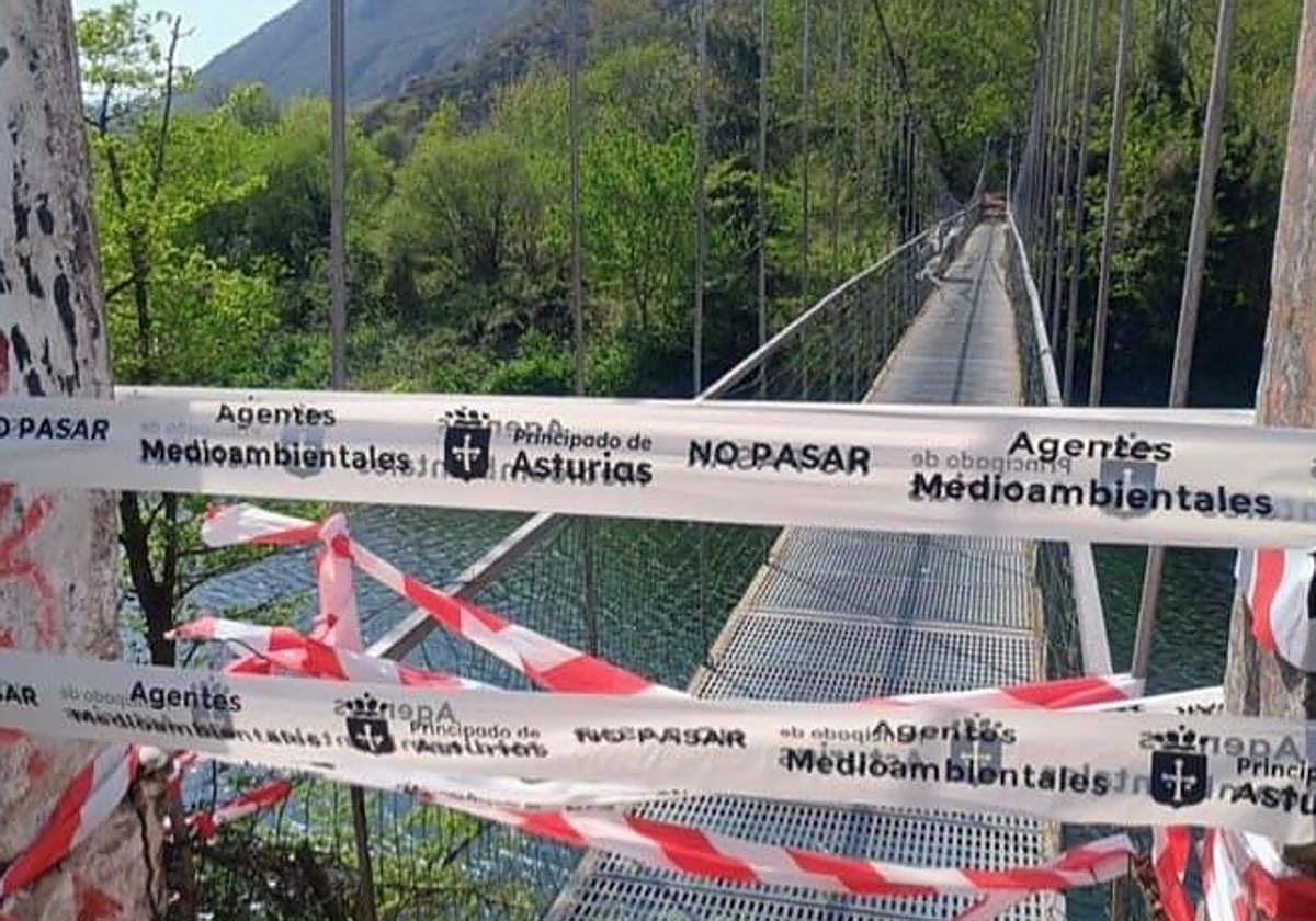 Изображение для новости