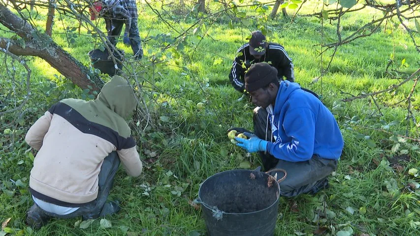 Изображение для новости