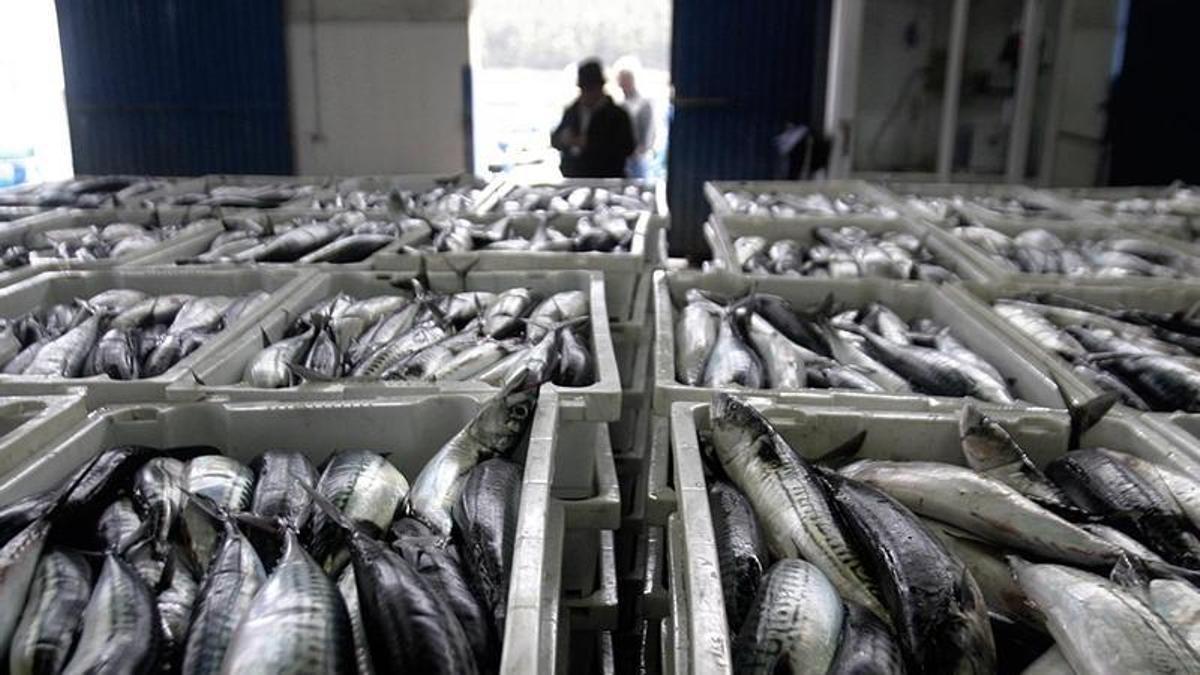 Изображение для новости