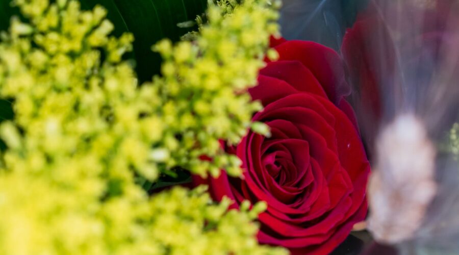 Изображение для новости