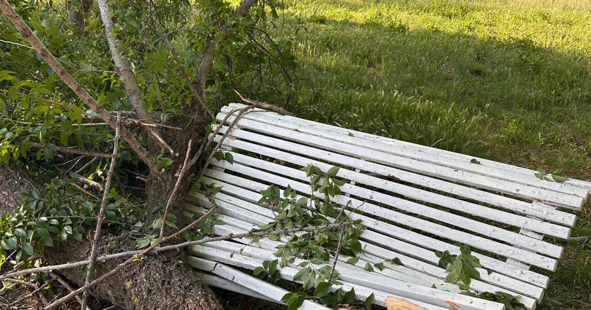 Изображение для новости