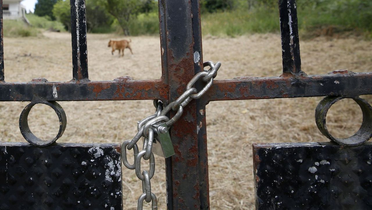 Изображение для новости